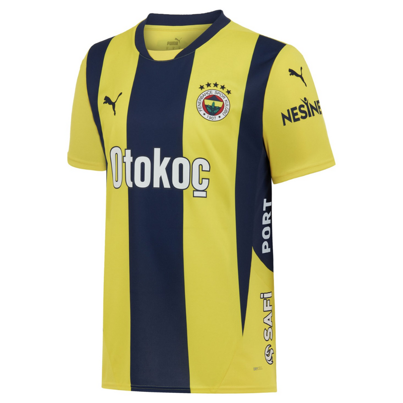 Fenerbahçe home 24/25