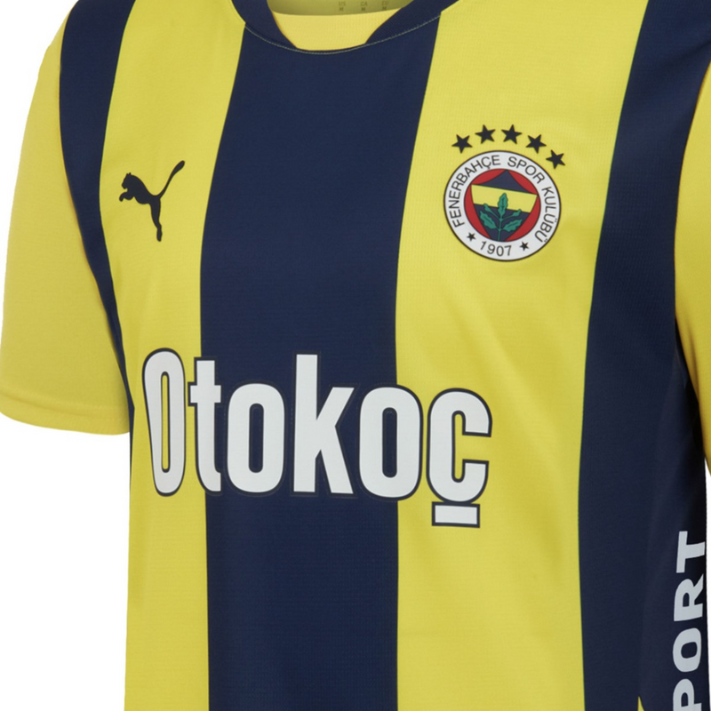 Fenerbahçe home 24/25