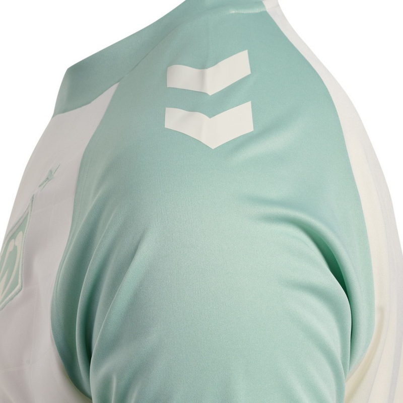 Werder Bremen away 24/25